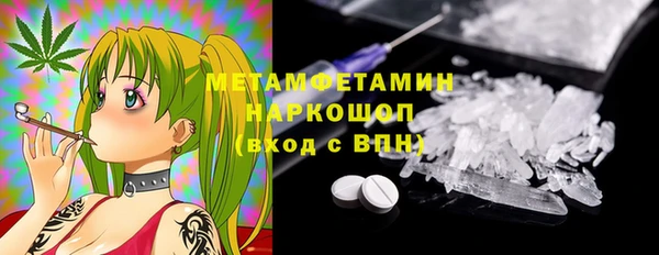 сатива Вязьма
