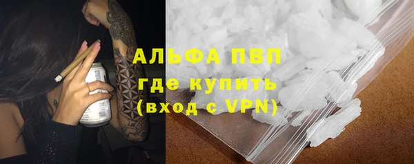 сатива Вязьма