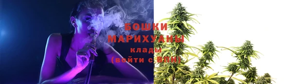 2c-b Вяземский