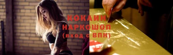 сатива Вязьма
