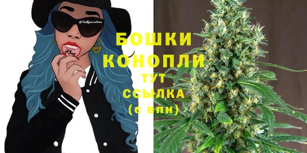 2c-b Вяземский