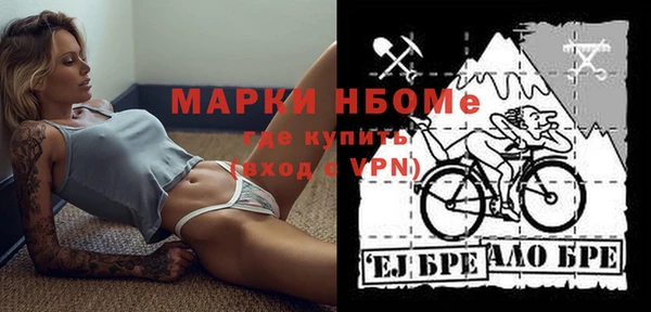 сатива Вязьма