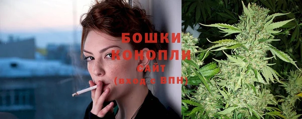 2c-b Вяземский