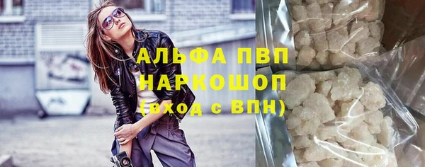 сатива Вязьма