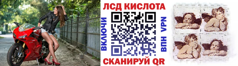 darknet какой сайт  Нижнекамск  Марки 25I-NBOMe 1,8мг 