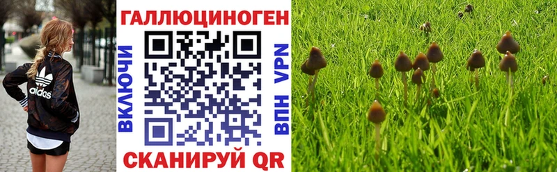 Галлюциногенные грибы мицелий  Нижнекамск 
